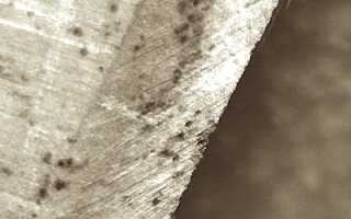 Виды коррозии нержавеющей стали и дополнительные методы защиты